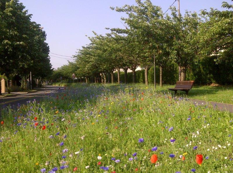 Appart Hotel Studihotel Palaiseau Plateau Saclay ภายนอก รูปภาพ